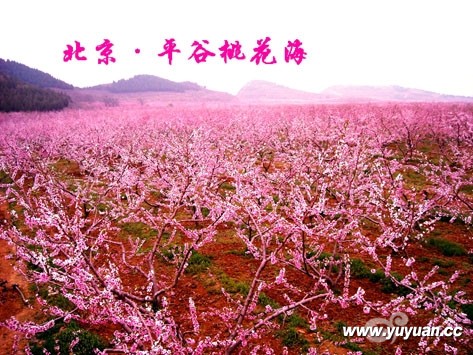 20120413120645590.jpg